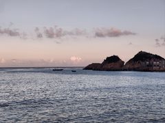 -魚當家