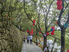 -九鲤湖风景区