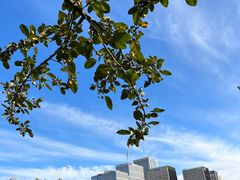 -元大都城垣遗址公园