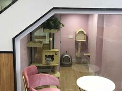 -联合动物医院(光谷诊疗中心)