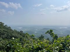 -句容茅山景区