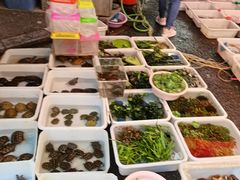 -清平路水族市场