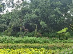 -广州市石门国家森林公园