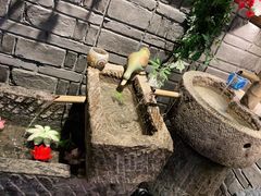 -老牌坊云南鱼豆花火锅(哈西万达店)