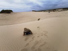 -库伦旗银沙湾旅游景区