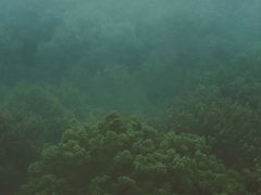 -DF冰淇淋茶饮(缤纷五洲店)