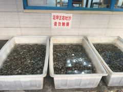 -老虎滩大连海鲜烧烤(建邺云锦路总店)