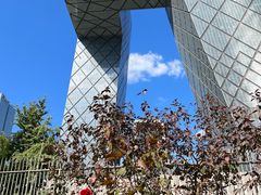 -中央广播电视总台(光华路办公区)