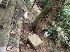 -狼山风景名胜区