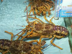 -渔民新村(番禺总店)