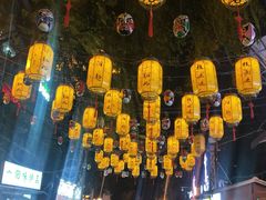 -鸿顺老铁锅美蛙鱼府(解放碑店)