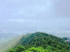 -梧桐山风景名胜区