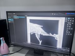 -爱妮康宠物医院·干细胞免疫细胞·肿瘤·心脏(张江店)