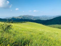 -灵山