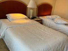 -南京金丝利喜来登酒店