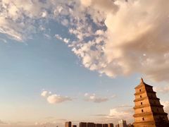 -小白鲨工夫潮膳(曲江店)