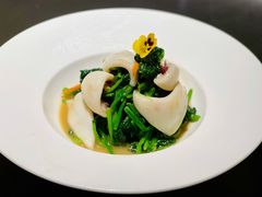 芥末菠菜拌海兔-东莱馋房(陆家嘴店)