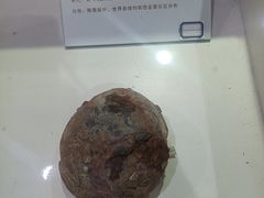 -中国第四纪冰川遗迹陈列馆