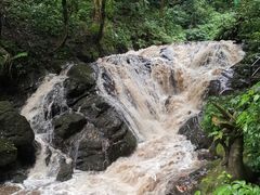 -莫里热带雨林景区