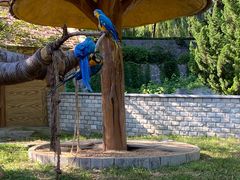 -石家庄市动物园