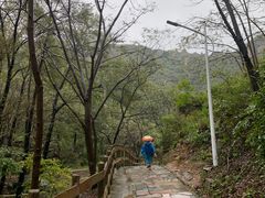 -大岭沟猕猴桃谷风景区