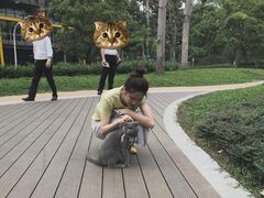 -景田北六街公园宠物主题园