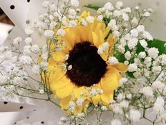 -Libra Flora花店(骆岗中央公园店)