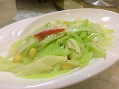 -丁老爷子苏香圆
