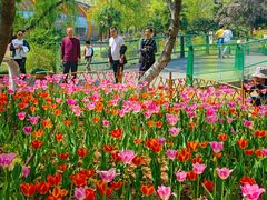 -白塘生态植物园