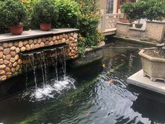 -顺德了能馆(虎门店)