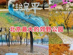 -绿堤公园