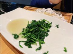 -丁老爷子苏香圆