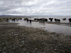 -青海湖国家重点风景名胜区