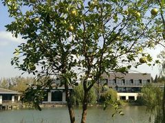 android_upload_pic-上海怡沁园度假酒店