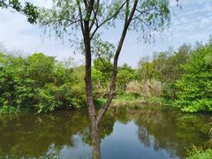 -西溪国家湿地公园