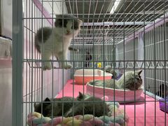 -山东柏宁水族批发广场