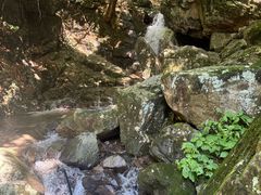 -藏龙百瀑风景区