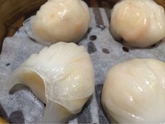 添好运点心专门店(北角店)-添好运点心专门店(北角店)