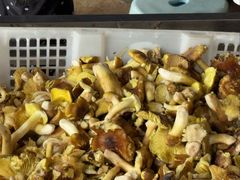 -双喜农庄·菌香园(安居家园店)