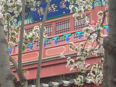 -莲池书院博物馆