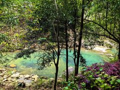 -广州白江湖森林公园