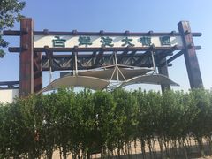 -白洋淀景区
