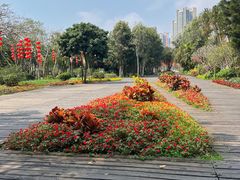 -中澳友谊花园
