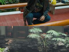 -广州白天鹅宾馆