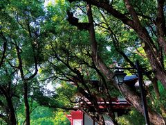 -吴山景区