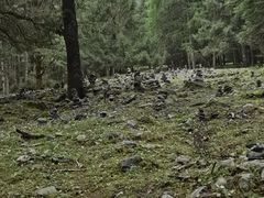 -硗碛藏寨·神木垒景区