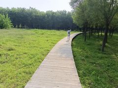 -马家湾湿地公园