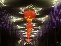 -洛阳市隋唐城遗址植物园