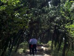 android_upload_pic-金堂县云顶石城风景区