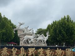 -秦皇岛野生动物园